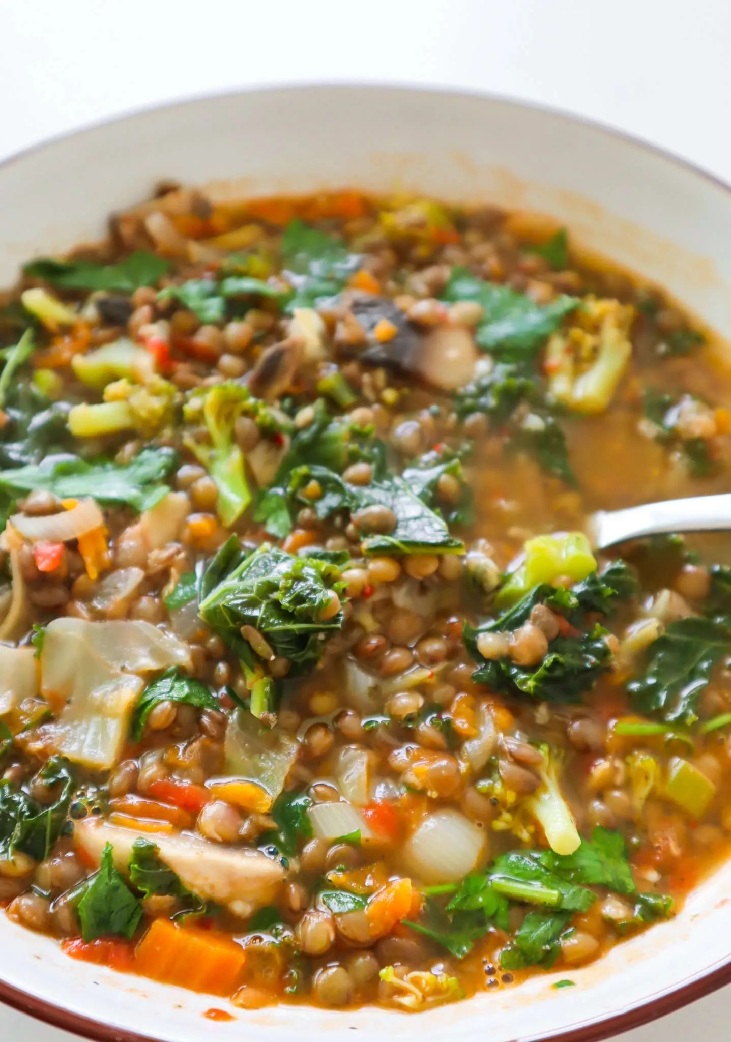 Easy Lentil Vegetable Soup - Homemade Mastery