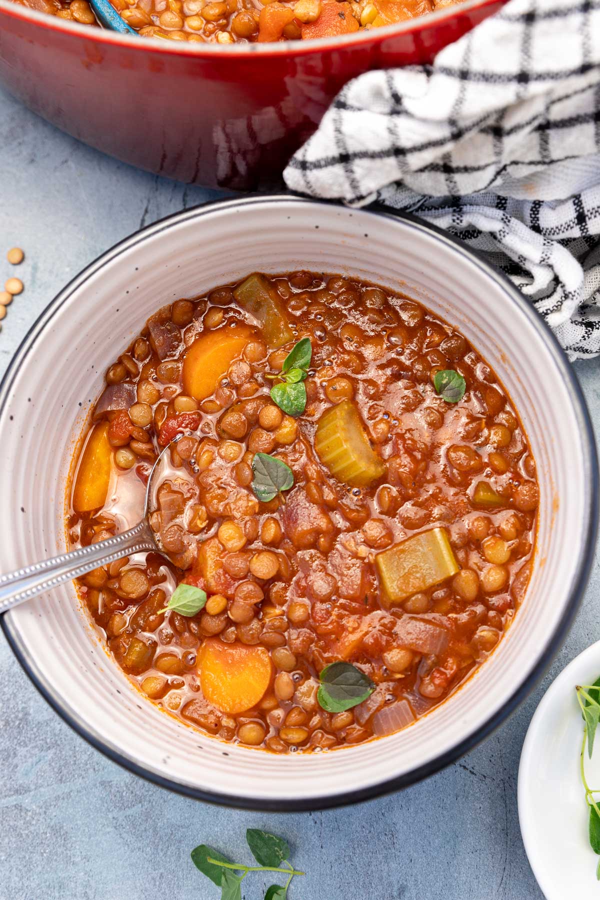 Easy Greek Lentil Soup (Fakes)